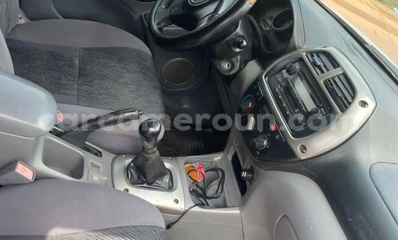 Buy Used Toyota RAV4 Silver Car in Yaounde in Central Cameroon Buy Used Toyota RAV4 Silver Car in Yaounde in Central Cameroon