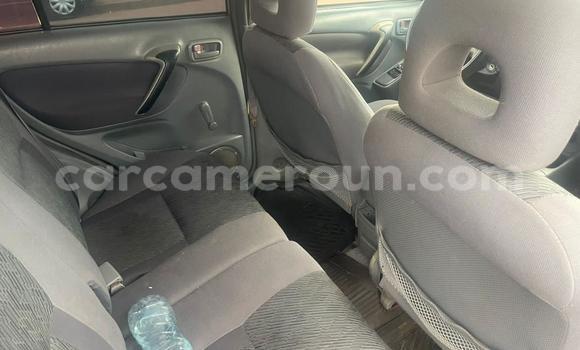 Buy Used Toyota RAV4 Silver Car in Yaounde in Central Cameroon Buy Used Toyota RAV4 Silver Car in Yaounde in Central Cameroon
