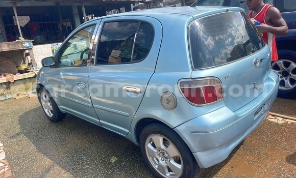 Buy Used Toyota Vitz Blue Car in Douala in Littoral Cameroon Buy Used Toyota Vitz Blue Car in Douala in Littoral Cameroon