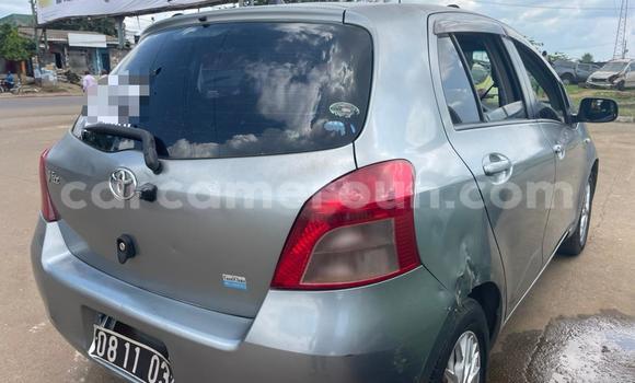Acheter Occasion Voiture Toyota Yaris Gris à Douala, Littoral Cameroon Acheter Occasion Voiture Toyota Yaris Gris à Douala, Littoral Cameroon