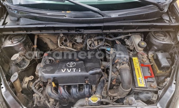 Buy Used Toyota Yaris Green Car in Douala in Littoral Cameroon Buy Used Toyota Yaris Green Car in Douala in Littoral Cameroon