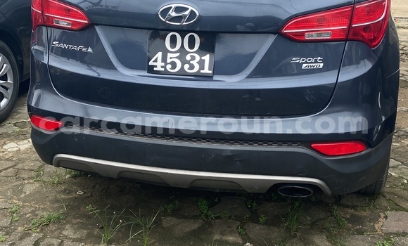 Acheter Import Voiture Hyundai Santa Fe Autre à Douala, Littoral Cameroon