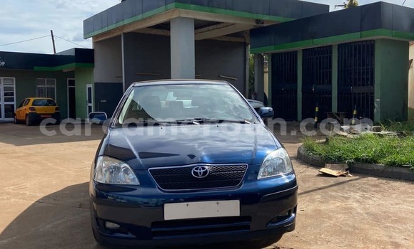 Buy Used Toyota Corolla Other Car in Douala in Littoral Cameroon
