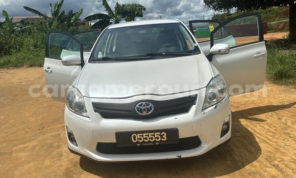 Buy Import Toyota Auris White Car in Douala in Littoral Cameroon