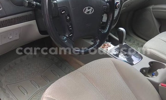 Acheter Occasion Voiture Hyundai Tucson Gris à Douala, Littoral Cameroon Acheter Occasion Voiture Hyundai Tucson Gris à Douala, Littoral Cameroon