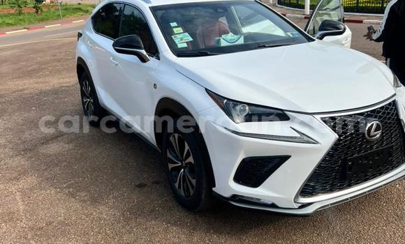 Sayi Na hannu Lexus NX White Mota in Yaounde a Babban Kamaru Sayi Na hannu Lexus NX White Mota in Yaounde a Babban Kamaru