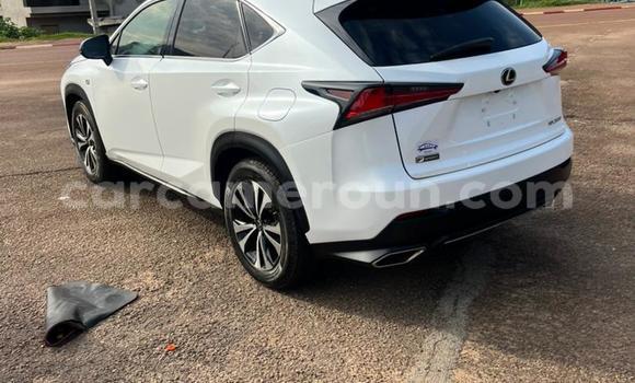 Sayi Na hannu Lexus NX White Mota in Yaounde a Babban Kamaru Sayi Na hannu Lexus NX White Mota in Yaounde a Babban Kamaru