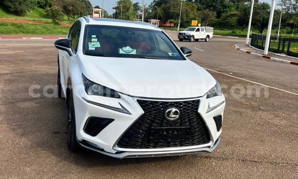Sayi Na hannu Lexus NX White Mota in Yaounde a Babban Kamaru Sayi Na hannu Lexus NX White Mota in Yaounde a Babban Kamaru