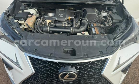 Sayi Na hannu Lexus NX White Mota in Yaounde a Babban Kamaru Sayi Na hannu Lexus NX White Mota in Yaounde a Babban Kamaru