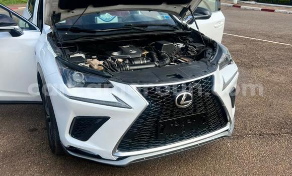 Sayi Na hannu Lexus NX White Mota in Yaounde a Babban Kamaru Sayi Na hannu Lexus NX White Mota in Yaounde a Babban Kamaru