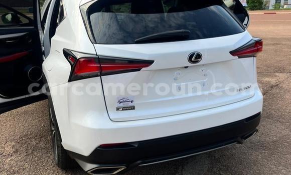 Sayi Na hannu Lexus NX White Mota in Yaounde a Babban Kamaru Sayi Na hannu Lexus NX White Mota in Yaounde a Babban Kamaru