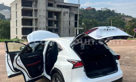 Sayi Na hannu Lexus NX White Mota in Yaounde a Babban Kamaru Sayi Na hannu Lexus NX White Mota in Yaounde a Babban Kamaru