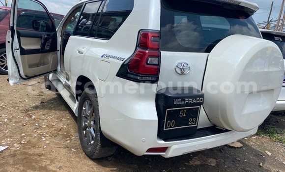 Buy New Toyota Prado White Car in Douala in Littoral Cameroon Buy New Toyota Prado White Car in Douala in Littoral Cameroon