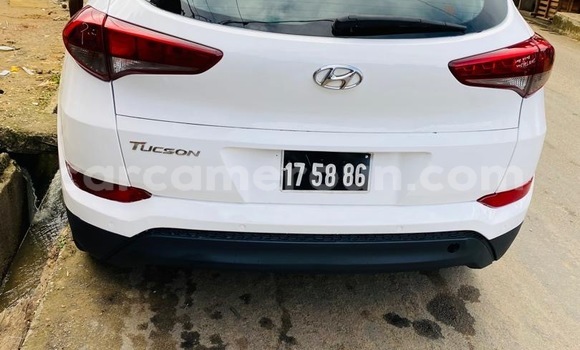 Sayi Sabo Hyundai Tucson White Mota in Douala a Ƙasar Kamaru Sayi Sabo Hyundai Tucson White Mota in Douala a Ƙasar Kamaru