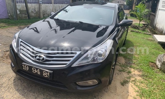 Acheter Import Voiture Hyundai Grandeur Noir à Douala, Littoral Cameroon