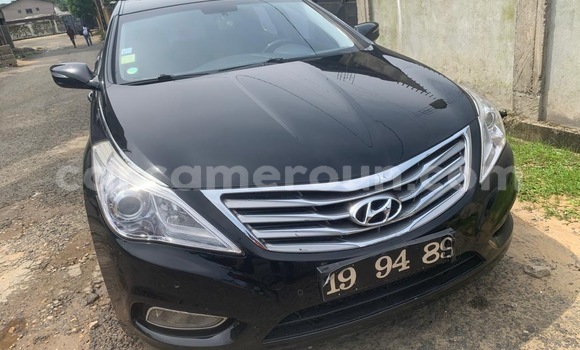 Acheter Import Voiture Hyundai Grandeur Noir à Douala, Littoral Cameroon Acheter Import Voiture Hyundai Grandeur Noir à Douala, Littoral Cameroon