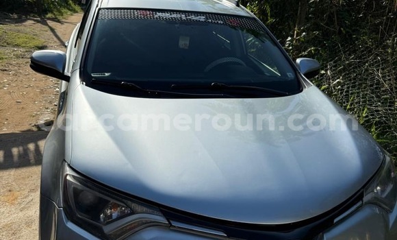 Acheter Occasion Voiture Toyota RAV4 Gris à Douala, Littoral Cameroon