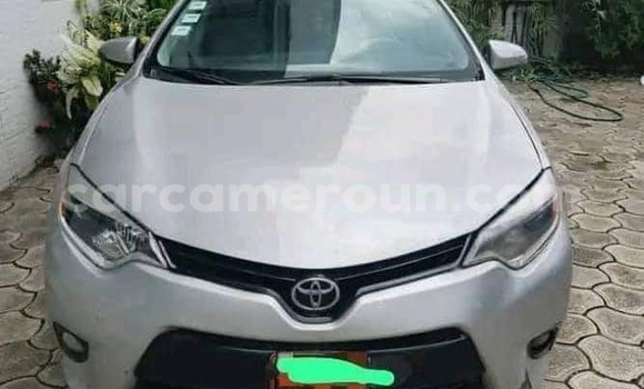 Acheter Occasion Voiture Toyota Corolla Gris à Douala, Littoral Cameroon