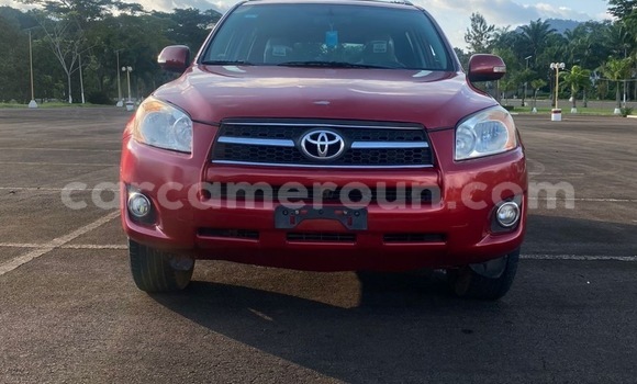 Acheter Import Voiture Toyota RAV4 Rouge à Douala, Littoral Cameroon