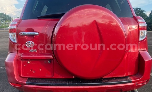 Acheter Import Voiture Toyota RAV4 Rouge à Douala, Littoral Cameroon Acheter Import Voiture Toyota RAV4 Rouge à Douala, Littoral Cameroon