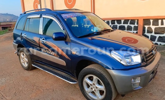 Buy Used Toyota RAV4 Blue Car in Yaounde in Central Cameroon Buy Used Toyota RAV4 Blue Car in Yaounde in Central Cameroon