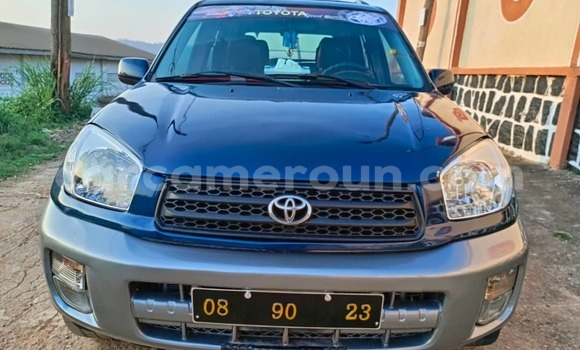 Buy Used Toyota RAV4 Blue Car in Yaounde in Central Cameroon Buy Used Toyota RAV4 Blue Car in Yaounde in Central Cameroon