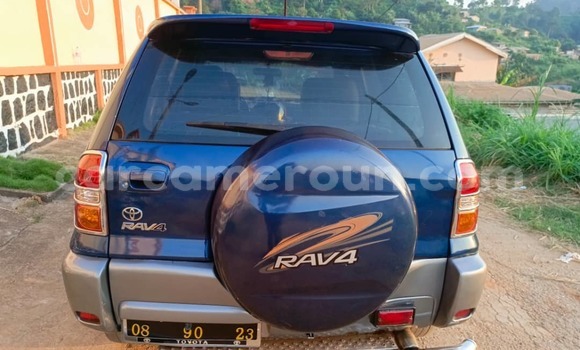 Buy Used Toyota RAV4 Blue Car in Yaounde in Central Cameroon Buy Used Toyota RAV4 Blue Car in Yaounde in Central Cameroon