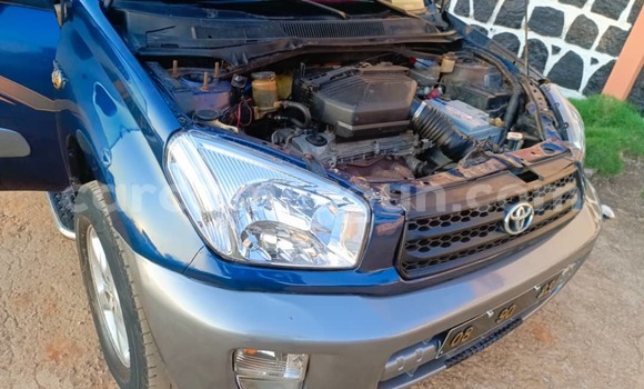 Buy Used Toyota RAV4 Blue Car in Yaounde in Central Cameroon Buy Used Toyota RAV4 Blue Car in Yaounde in Central Cameroon