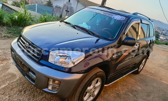 Buy Used Toyota RAV4 Blue Car in Yaounde in Central Cameroon Buy Used Toyota RAV4 Blue Car in Yaounde in Central Cameroon