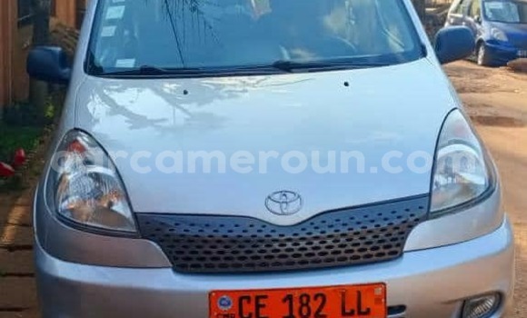 Buy Used Toyota Yaris Verso Silver Car in Yaounde in Central Cameroon Buy Used Toyota Yaris Verso Silver Car in Yaounde in Central Cameroon