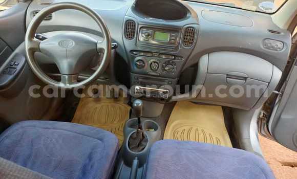 Buy Used Toyota Yaris Verso Silver Car in Yaounde in Central Cameroon Buy Used Toyota Yaris Verso Silver Car in Yaounde in Central Cameroon