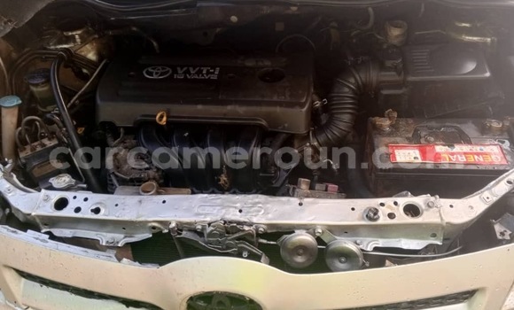 Buy Used Toyota Corolla Verso Silver Car in Douala in Littoral Cameroon Buy Used Toyota Corolla Verso Silver Car in Douala in Littoral Cameroon