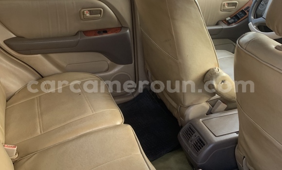 Buy Used Lexus RX 300 Silver Car in Yaounde in Central Cameroon Buy Used Lexus RX 300 Silver Car in Yaounde in Central Cameroon