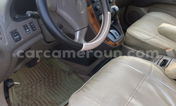 Buy Used Lexus RX 300 Silver Car in Yaounde in Central Cameroon Buy Used Lexus RX 300 Silver Car in Yaounde in Central Cameroon