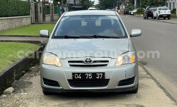 Acheter Import Voiture Toyota Corolla Gris à Douala, Littoral Cameroon Acheter Import Voiture Toyota Corolla Gris à Douala, Littoral Cameroon