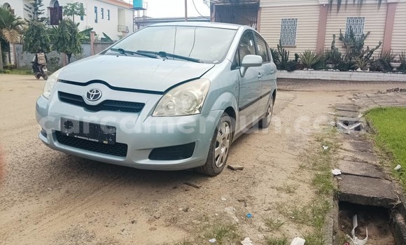 Buy Used Toyota Corolla Blue Car in Douala in Littoral Cameroon