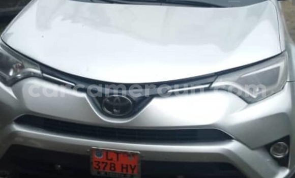 Buy Used Toyota RAV4 Silver Car in Douala in Littoral Cameroon