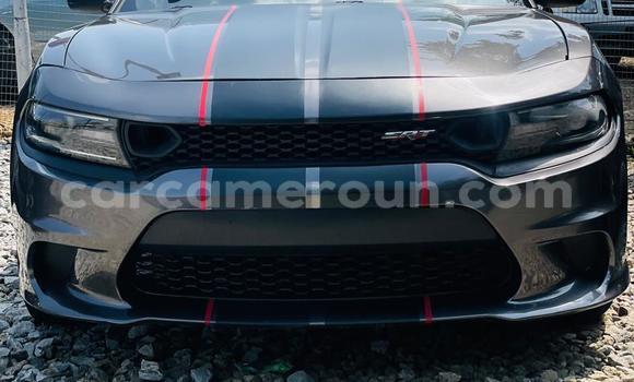 Acheter Neuf Voiture Dodge Charger Gris à Bamenda, Northwest Cameroon Acheter Neuf Voiture Dodge Charger Gris à Bamenda, Northwest Cameroon