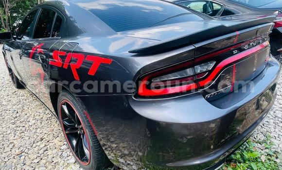 Acheter Neuf Voiture Dodge Charger Gris à Bamenda, Northwest Cameroon Acheter Neuf Voiture Dodge Charger Gris à Bamenda, Northwest Cameroon