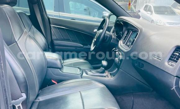 Acheter Neuf Voiture Dodge Charger Gris à Bamenda, Northwest Cameroon Acheter Neuf Voiture Dodge Charger Gris à Bamenda, Northwest Cameroon