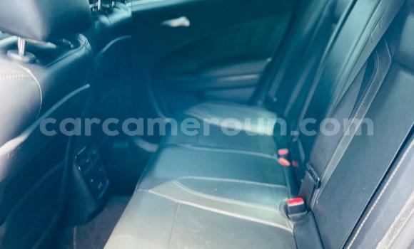 Acheter Neuf Voiture Dodge Charger Gris à Bamenda, Northwest Cameroon Acheter Neuf Voiture Dodge Charger Gris à Bamenda, Northwest Cameroon