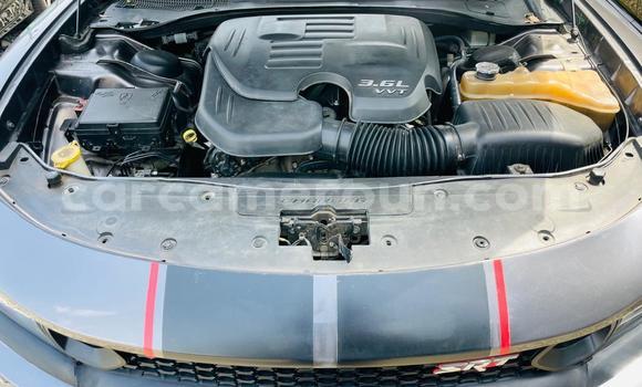 Acheter Neuf Voiture Dodge Charger Gris à Bamenda, Northwest Cameroon Acheter Neuf Voiture Dodge Charger Gris à Bamenda, Northwest Cameroon