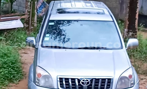 Buy Used Toyota Land Cruiser Prado Silver Car in Douala in Littoral Cameroon