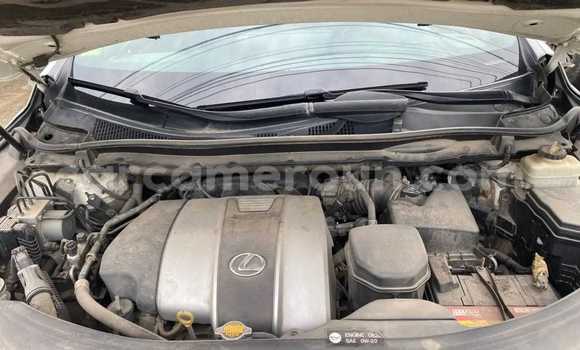Buy Used Lexus RX 350 Beige Car in Douala in Littoral Cameroon Buy Used Lexus RX 350 Beige Car in Douala in Littoral Cameroon