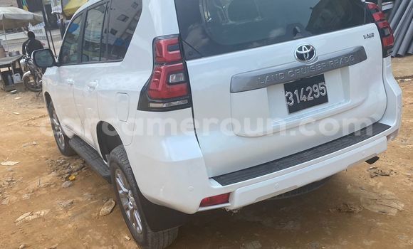 Sayi Na hannu Toyota Land Cruiser Prado White Mota in Douala a Ƙasar Kamaru Sayi Na hannu Toyota Land Cruiser Prado White Mota in Douala a Ƙasar Kamaru