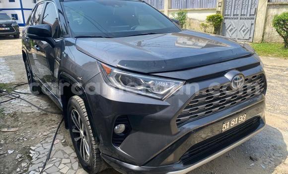 Buy Import Toyota RAV4 Silver Car in Douala in Littoral Cameroon