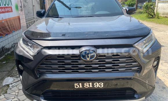 Acheter Import Voiture Toyota RAV4 Gris à Douala, Littoral Cameroon Acheter Import Voiture Toyota RAV4 Gris à Douala, Littoral Cameroon