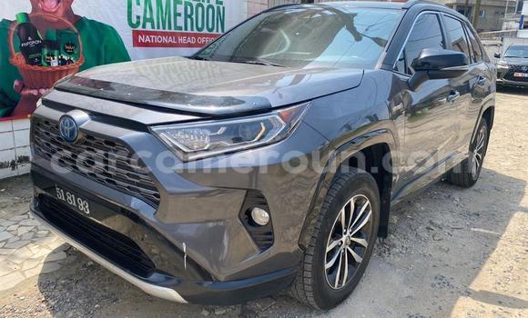 Acheter Import Voiture Toyota RAV4 Gris à Douala, Littoral Cameroon Acheter Import Voiture Toyota RAV4 Gris à Douala, Littoral Cameroon