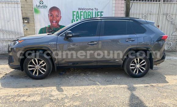Acheter Import Voiture Toyota RAV4 Gris à Douala, Littoral Cameroon Acheter Import Voiture Toyota RAV4 Gris à Douala, Littoral Cameroon