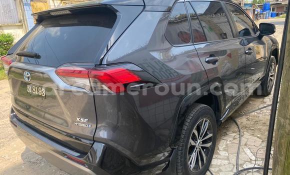Acheter Import Voiture Toyota RAV4 Gris à Douala, Littoral Cameroon Acheter Import Voiture Toyota RAV4 Gris à Douala, Littoral Cameroon